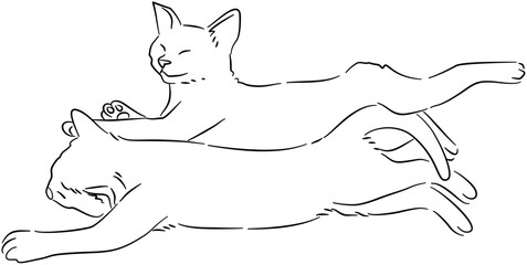 Detailed Cat and Dog Line Drawing
