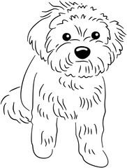 Hand Drawn Cat Dog Art Collection