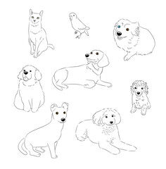 Black and White Cat Dog Illustrations
