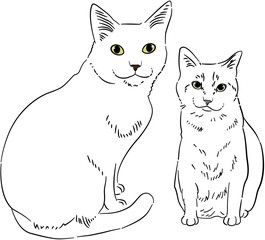 Black White Cat Dog Sketch Portrait