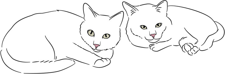 Cat Dog Sketches for Graphic Use