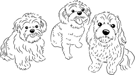 Hand Drawn Animal Cat Dog Lines