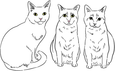 Detailed Cat Dog Sketch Portrait