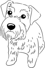 Cat Dog Sketch Line Art Pack