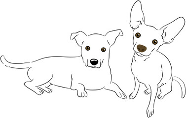 Cat Dog Monochrome Line Art