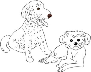 Cat Dog Sketch Art for Design