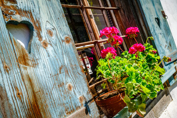 Bright sunny day with potted plants by the window in a cozy room surrounded by nature in the...