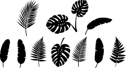 Summer tropical leaves icon set vector silhouette
