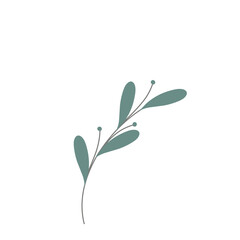 Minimalist leaf illustration. Leaf illustration for wedding invitation decoration. Beautiful leaf illustration. Aesthetic leaf illustration. Botanical leaf illustration 