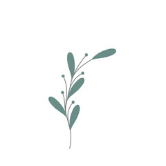 Minimalist leaf illustration. Leaf illustration for wedding invitation decoration. Beautiful leaf illustration. Aesthetic leaf illustration. Botanical leaf illustration 