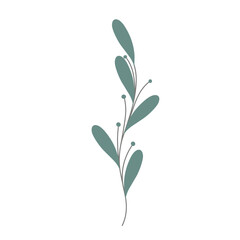 Minimalist leaf illustration. Leaf illustration for wedding invitation decoration. Beautiful leaf illustration. Aesthetic leaf illustration. Botanical leaf illustration 