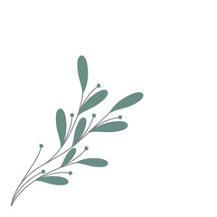 Minimalist leaf illustration. Leaf illustration for wedding invitation decoration. Beautiful leaf illustration. Aesthetic leaf illustration. Botanical leaf illustration 