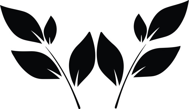 Art & Illustration leaf 