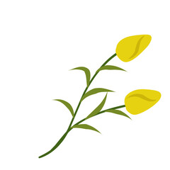 lustration of yellow tulips,yellow flowering bush