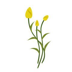 lustration of yellow tulips,yellow flowering bush