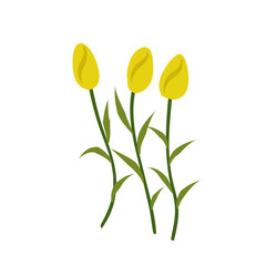 lustration of yellow tulips,yellow flowering bush