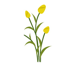 lustration of yellow tulips,yellow flowering bush