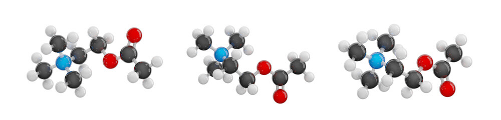 Acetylcholine (ACh) isolated on transparent background. Set of views showcasing a detailed 3D model of molecule. Molecular formula: C7H16NO2. Chemical model: Ball and Stick. 3D illustration