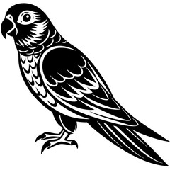 Obraz premium black and white bird