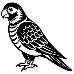 Obraz premium vector illustration of an owl