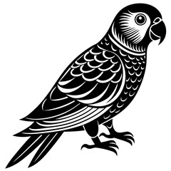 Fototapeta premium parrot on a branch