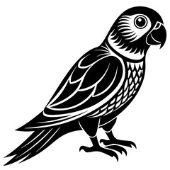 Fototapeta premium vector illustration of a bird