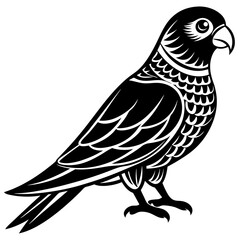 Fototapeta premium bird on branch