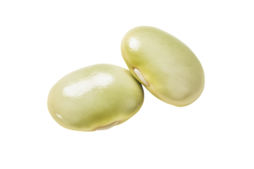 Two fresh broad beans isolated on black background