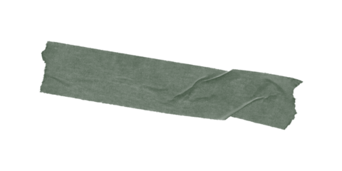 A dark green rectangular shape against a black background in a simple digital rendering style