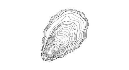 Obraz premium Oyster Shell Line Art Vector – Abstract Minimal Marine Design