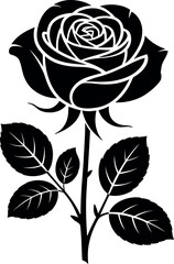 Rose silhouette on white background