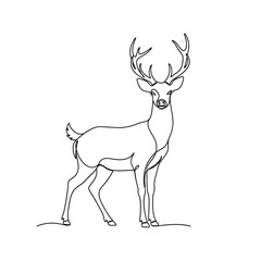 A deer isolated on white background