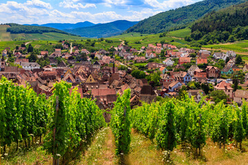 View of Riquewihr village with vineyard on a foreground. Alsace Wine Route, France