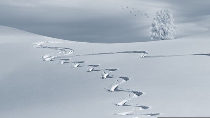 A line of footprints in fresh, white snow, symbolizing a journey.