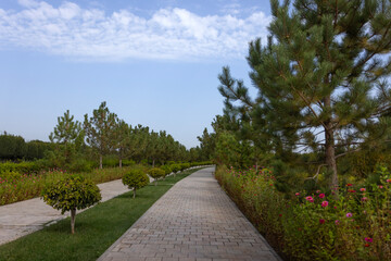 the beautiful pathway inside the garden of Bahoutdin Architectural Complex or bakhautdin naqsband mausoleum.