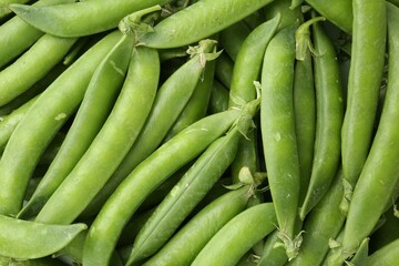 Fresh green pea pods as background, top view