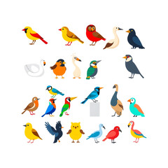 Obraz premium Collection of diverse colorful cartoon birds standing together isolated on transparent background
