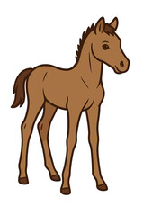 Fototapeta premium Vector Illustration of a Foal Standing