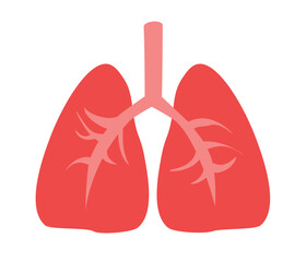 human lung in a flat style vector, human internal organ, anatomy, body part