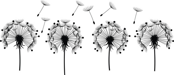 Black silhouette dandelion flowers with flying seeds, botanical vector design, floral wind blow concept, nature illustration for spring decoration print