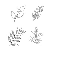 Leaf Outline PNG Transparent Images Free Download | Vector Files | 