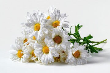 Fototapeta premium bouquet of white chrysanthemum