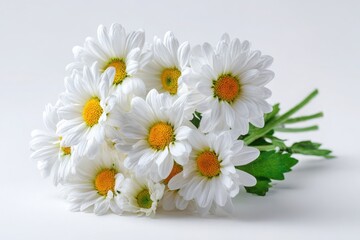 Obraz premium bouquet of white daisies