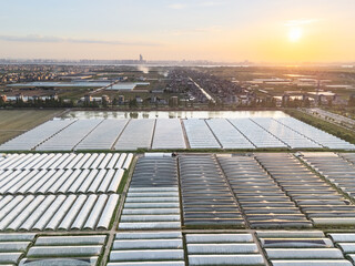 aerial view greenhouse in farmland