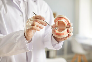 Plastic model of jaw in hands of dentist. Oral hygienist or orthodontist holding artificial jaw...