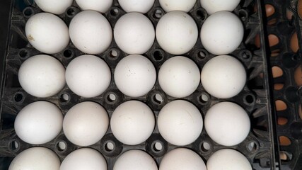 Rows of oval white eggs fill the black plastic tray for supermarket delivery