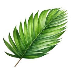 Leaves Clipart, Leaves Png, Leaf Clipart png