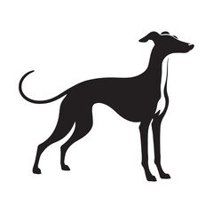 Proud Whippet digital black form, making a strong visual impact in any design - Whippet silhouette - Whippet Vector - Silhouette of Whippet - dog silhouette

