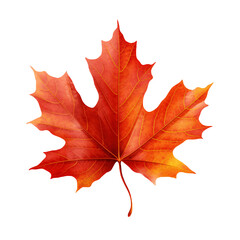 Leaves Clipart, Leaves Png, Leaf Clipart png