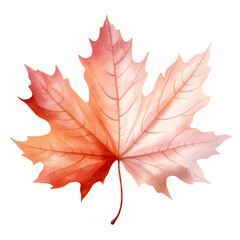 Leaves Clipart, Leaves Png, Leaf Clipart png